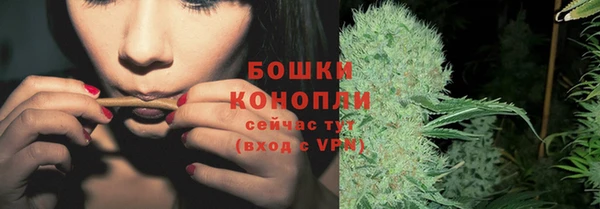 соль ск Богородск