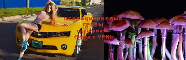 соль ск Богородск